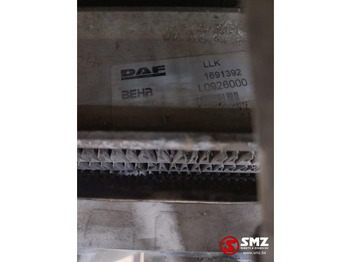 Радиатор для Грузовиков DAF Occ radiator + intercooler DAF: фото 5