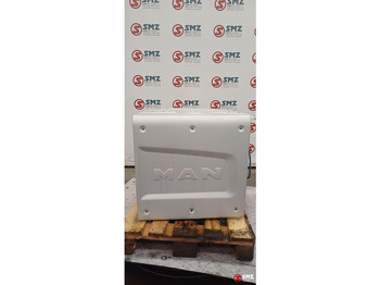 Катализатор MAN