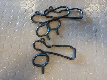 Прокладка двигателя SCANIA