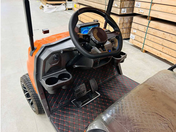 Новый Гольф-кар RTE: фото 5