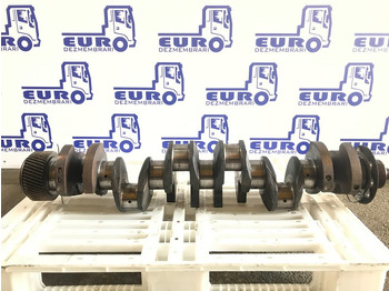 Коленчатый вал IVECO