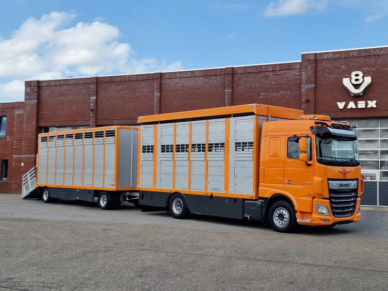 Грузовик для перевозки животных DAF XF 530 4x2 - Livestock Menke 2 deck + 2018 Menke trailer - Water + Ventilation - Lifting roof: фото 1