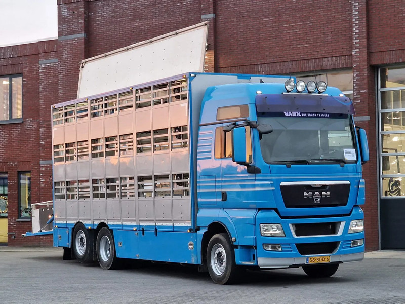 MAN TGX 26.440 6x2*4 - 3 deck Livestock - Water & Ventilation - Manual gearbox - Steering axle - Грузовик для перевозки животных: фото 1 MAN TGX 26.440 6x2*4 - 3 deck Livestock - Water & Ventilation - Manual gearbox - Steering axle - Грузовик для перевозки животных: фото 1