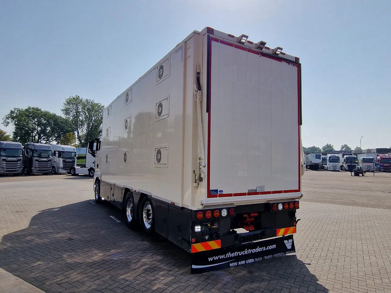 Грузовик для перевозки животных MAN TGX 500 6x2 - 3 deck Cuppers + 4 deck Cuppers 2019 trailer - Water & Ventilation - Night clima -: фото 20