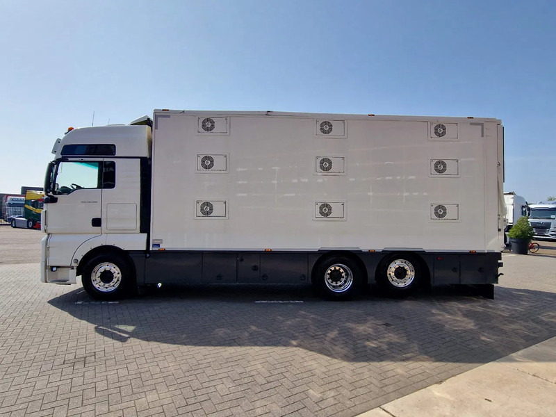 Грузовик для перевозки животных MAN TGX 500 6x2 - 3 deck Cuppers + 4 deck Cuppers 2019 trailer - Water & Ventilation - Night clima -: фото 19