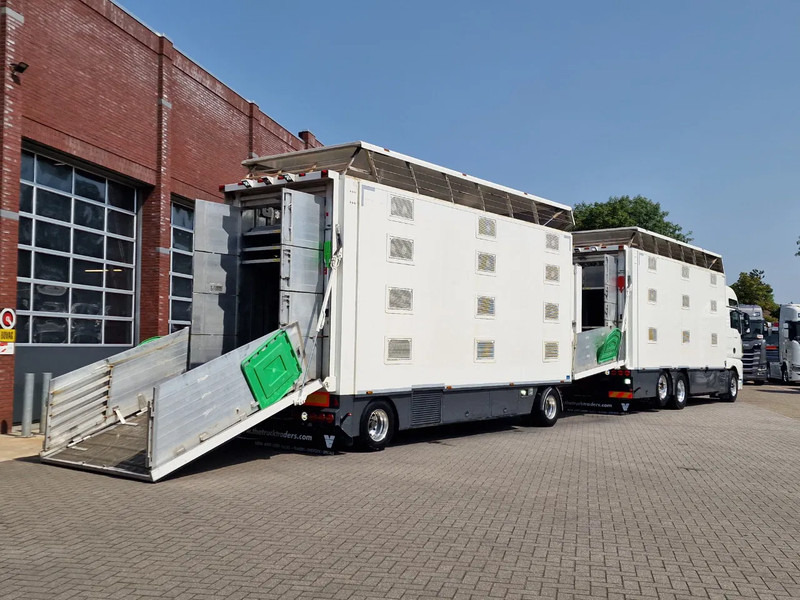 Грузовик для перевозки животных MAN TGX 500 6x2 - 3 deck Cuppers + 4 deck Cuppers 2019 trailer - Water & Ventilation - Night clima -: фото 7