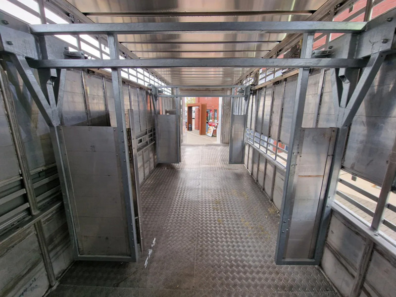 Новый Грузовик для перевозки животных Renault Midlum D210 4x2 - NEW - Pezzaioli 1 deck - Ventilation - 17.9M2 - Ramp - Euro6d: фото 14