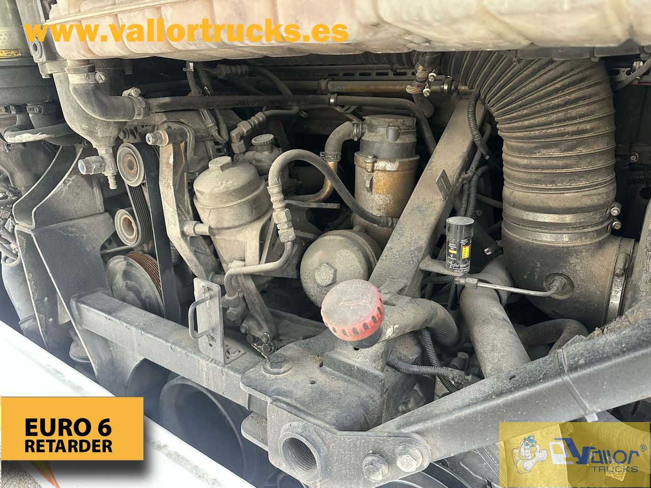 MAN LION´S REGIO L - Школьный автобус: фото 5 MAN LION´S REGIO L - Школьный автобус: фото 5