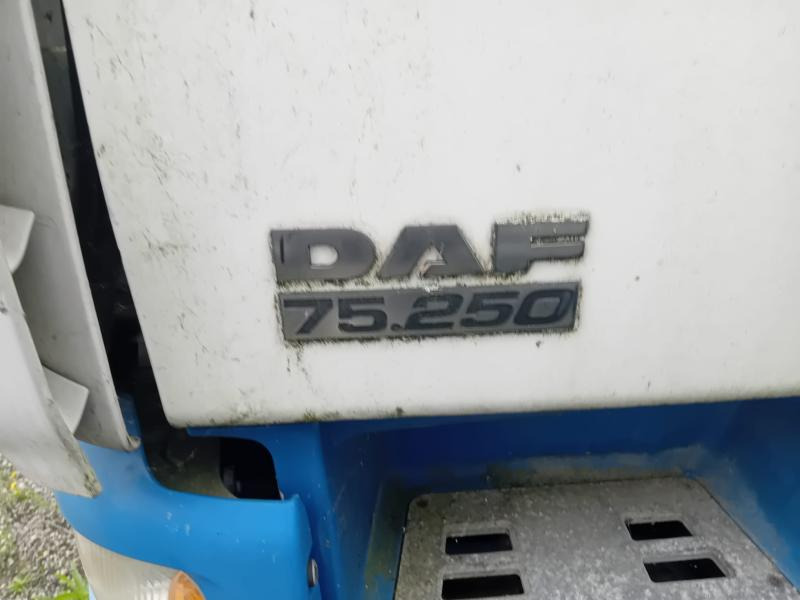 DAF CF 75.250 - Грузовик с закрытым кузовом: фото 2 DAF CF 75.250 - Грузовик с закрытым кузовом: фото 2