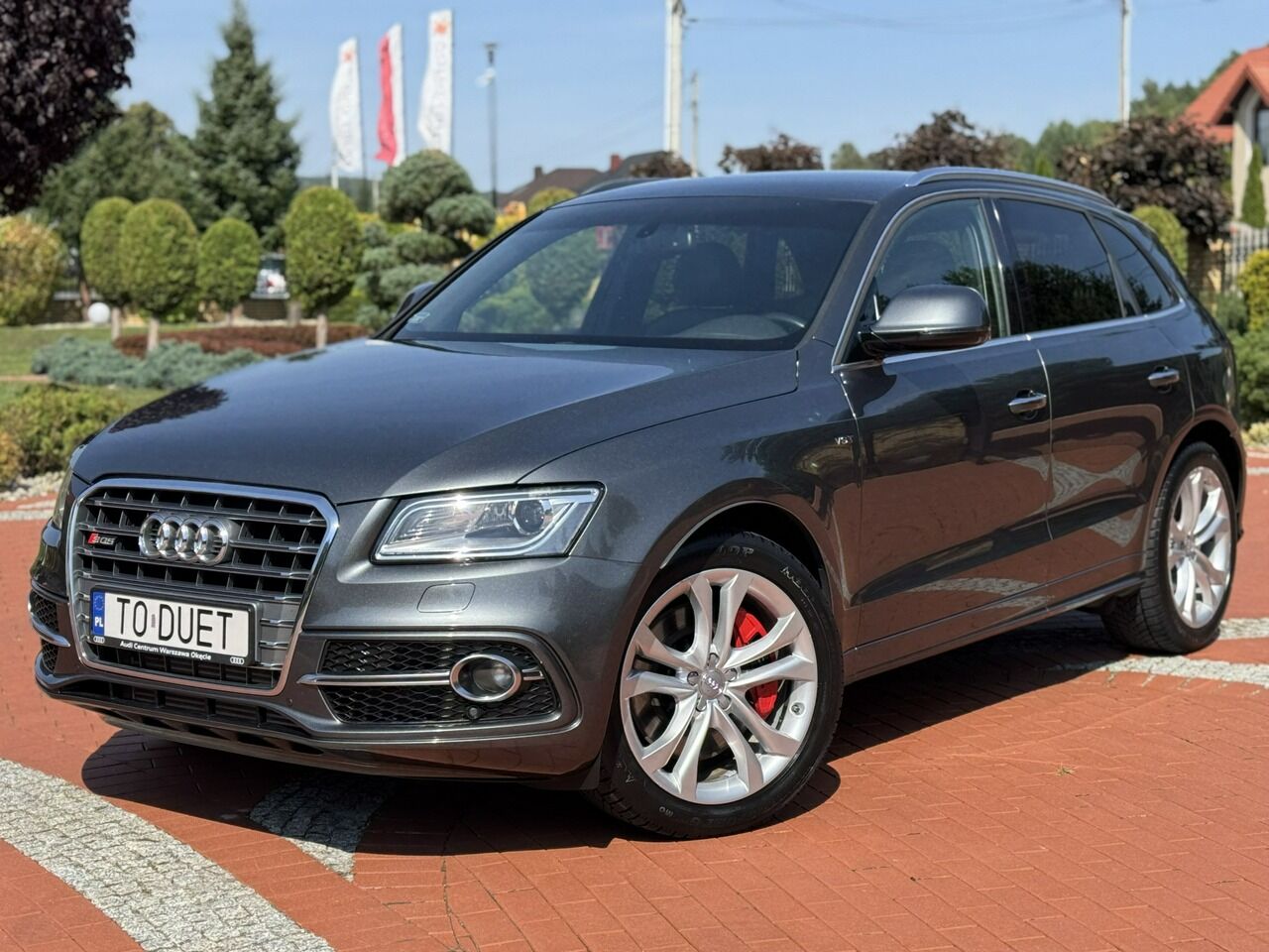 Audi SQ5 - Внедорожник: фото 4 Audi SQ5 - Внедорожник: фото 4