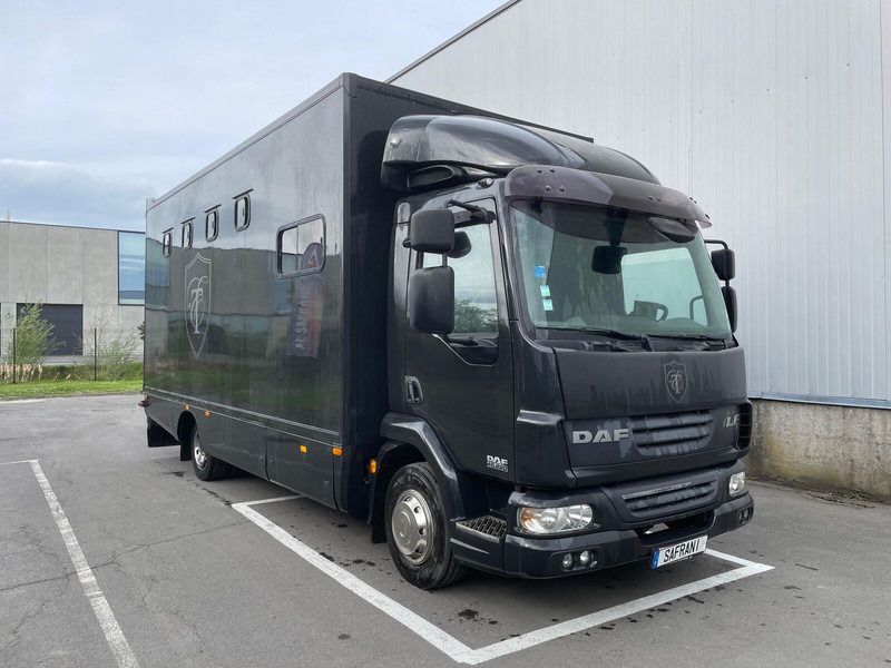 DAF LF 45 220 - Коневоз: фото 3 DAF LF 45 220 - Коневоз: фото 3