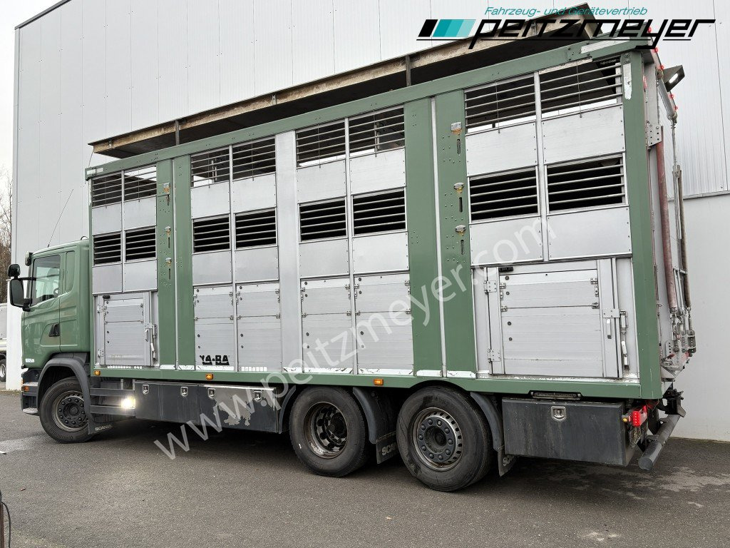 Scania G 450 6x2, Kaba 3-Stock, Hubdach Lenk + Lift, - Грузовик для перевозки животных: фото 3 Scania G 450 6x2, Kaba 3-Stock, Hubdach Lenk + Lift, - Грузовик для перевозки животных: фото 3