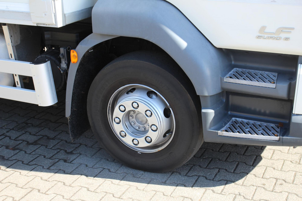 Рефрижератор Daf LF 250 E6  Carrier Supra Strom Tür + LBW Kamera: фото 7