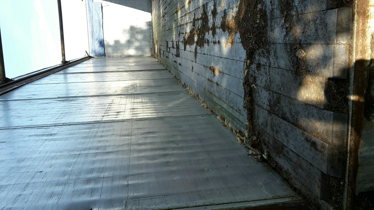 Reisch RSBS-35/24 PV RSBS-35/24 PV Walkingfloor ca. 86m³, Alu - Полуприцеп с подвижным полом: фото 3 Reisch RSBS-35/24 PV RSBS-35/24 PV Walkingfloor ca. 86m³, Alu - Полуприцеп с подвижным полом: фото 3