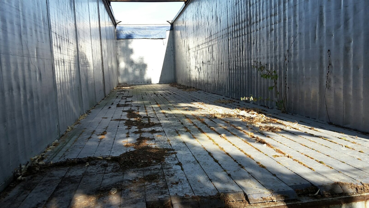 Reisch RSBS-35/24 PV RSBS-35/24 PV Walkingfloor ca. 86m³, Alu - Полуприцеп с подвижным полом: фото 2 Reisch RSBS-35/24 PV RSBS-35/24 PV Walkingfloor ca. 86m³, Alu - Полуприцеп с подвижным полом: фото 2