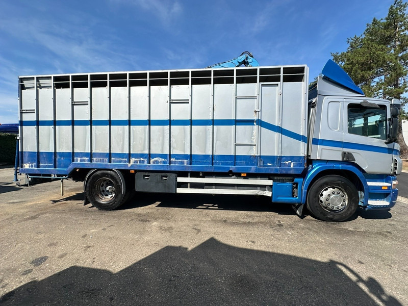 Scania P310 4x2 LIVESTOCK / VEEWAGEN / TIERTRANSPORT / BETAILLERE - ALU BOX 7m - MANUAL - A/C - BELGIAN TRUCK - Грузовик для перевозки животных: фото 4 Scania P310 4x2 LIVESTOCK / VEEWAGEN / TIERTRANSPORT / BETAILLERE - ALU BOX 7m - MANUAL - A/C - BELGIAN TRUCK - Грузовик для перевозки животных: фото 4
