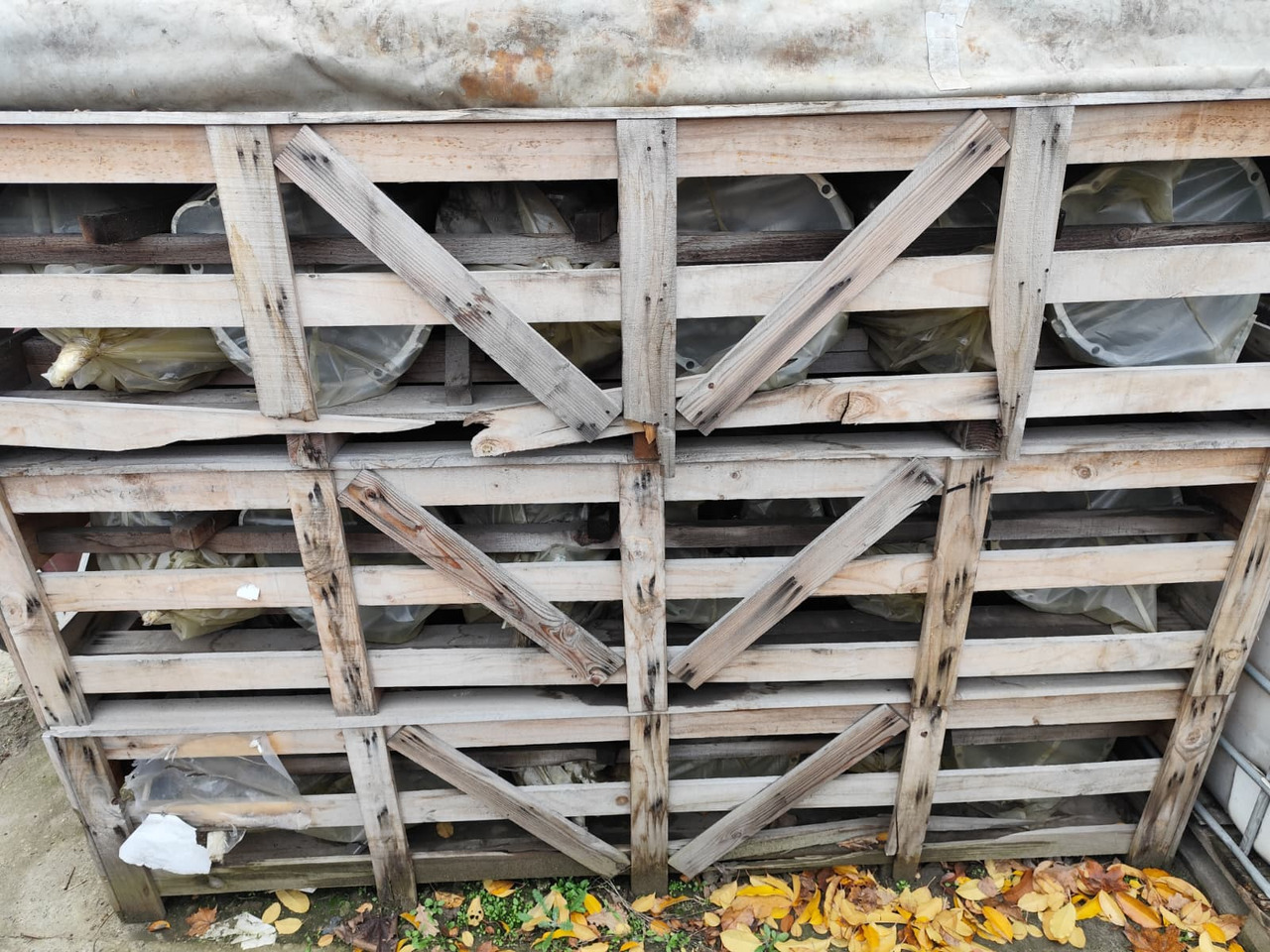 HYUNDAI DYMOS T032S5 - Коробка передач для Грузовиков: фото 5 HYUNDAI DYMOS T032S5 - Коробка передач для Грузовиков: фото 5