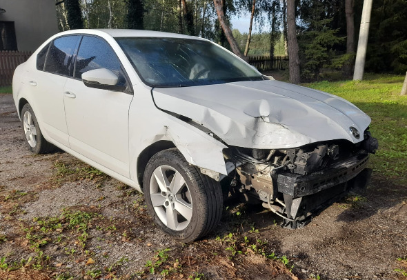 Skoda Octavia - Легковой автомобиль: фото 1 Skoda Octavia - Легковой автомобиль: фото 1