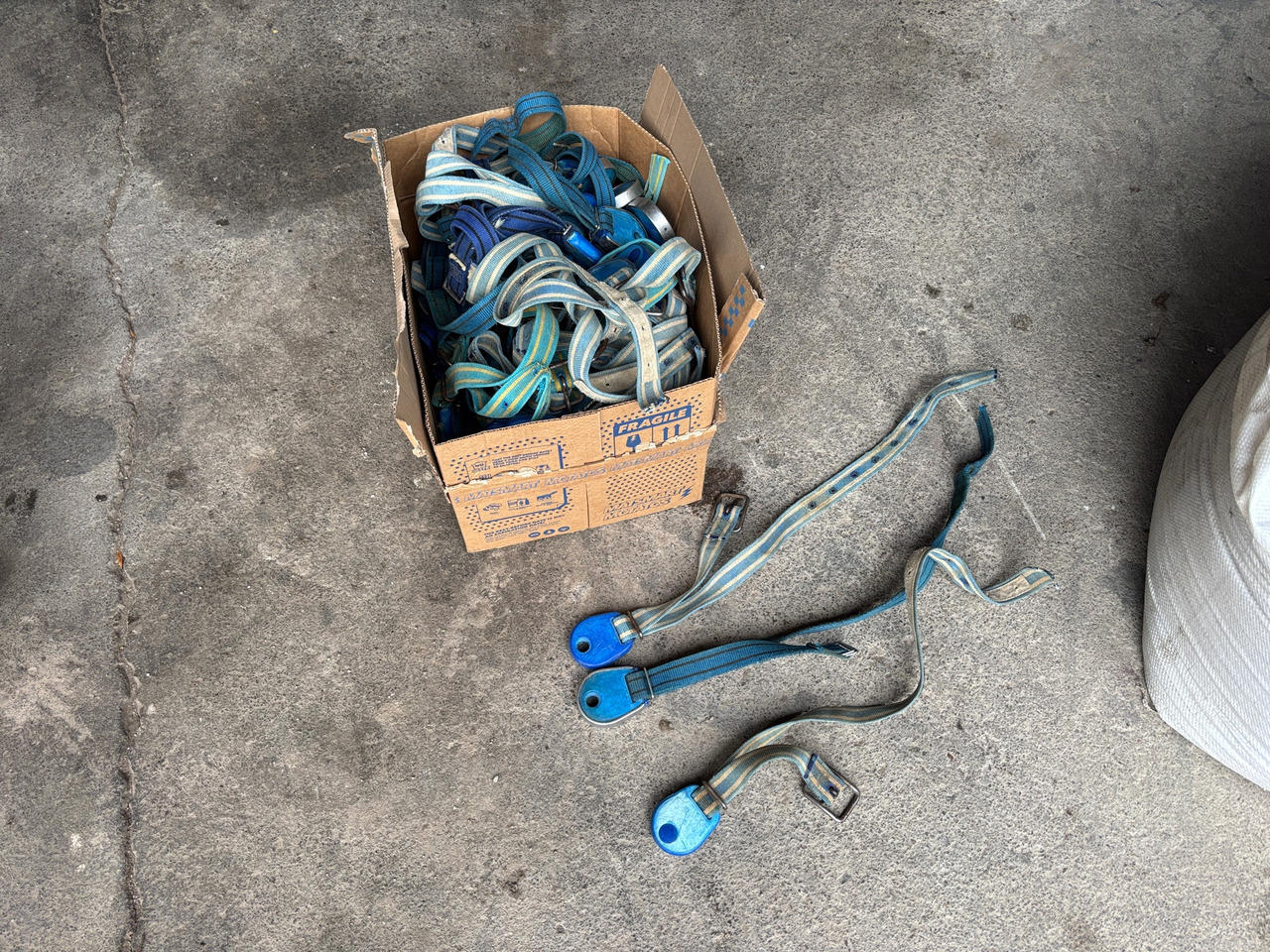 Alfa Laval Med halsband - Инвентарь для животноводства: фото 1 Alfa Laval Med halsband - Инвентарь для животноводства: фото 1