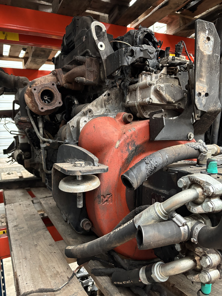 Merlo P 34.7 Silnik Blok Pompa Kolektor Wał Miska CZĘŚCI - Двигатель и запчасти для Строительной техники: фото 2 Merlo P 34.7 Silnik Blok Pompa Kolektor Wał Miska CZĘŚCI - Двигатель и запчасти для Строительной техники: фото 2