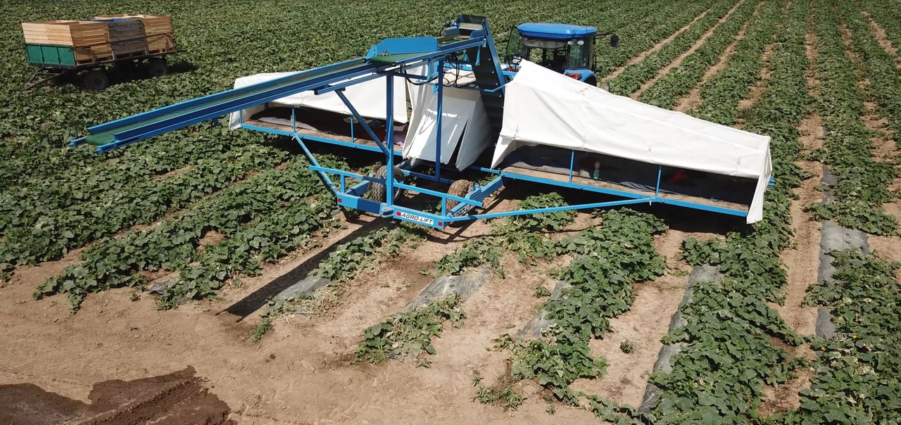 AGRO-LIFT Kombajn do ogórków - Комбайн: фото 3 AGRO-LIFT Kombajn do ogórków - Комбайн: фото 3