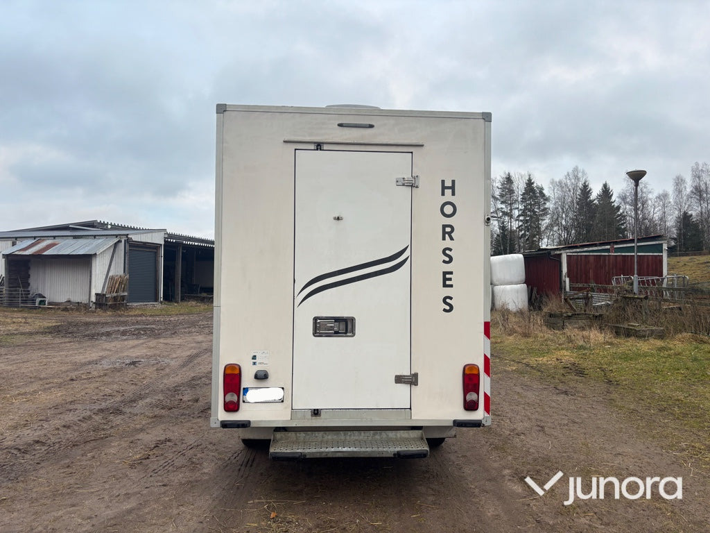 Hästlastbil - Renault Master - Коневоз: фото 4 Hästlastbil - Renault Master - Коневоз: фото 4