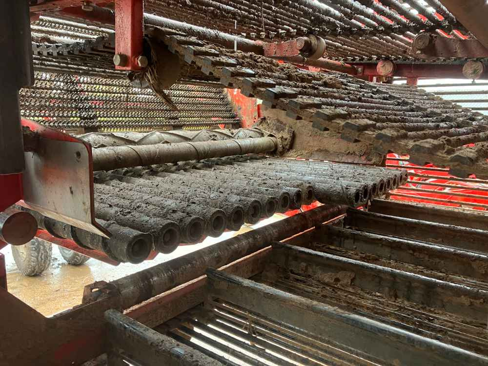 Комбайн Dewulf DeWulf, RA3060, 2 Row, Self-Propelled Potato Harvester: фото 19