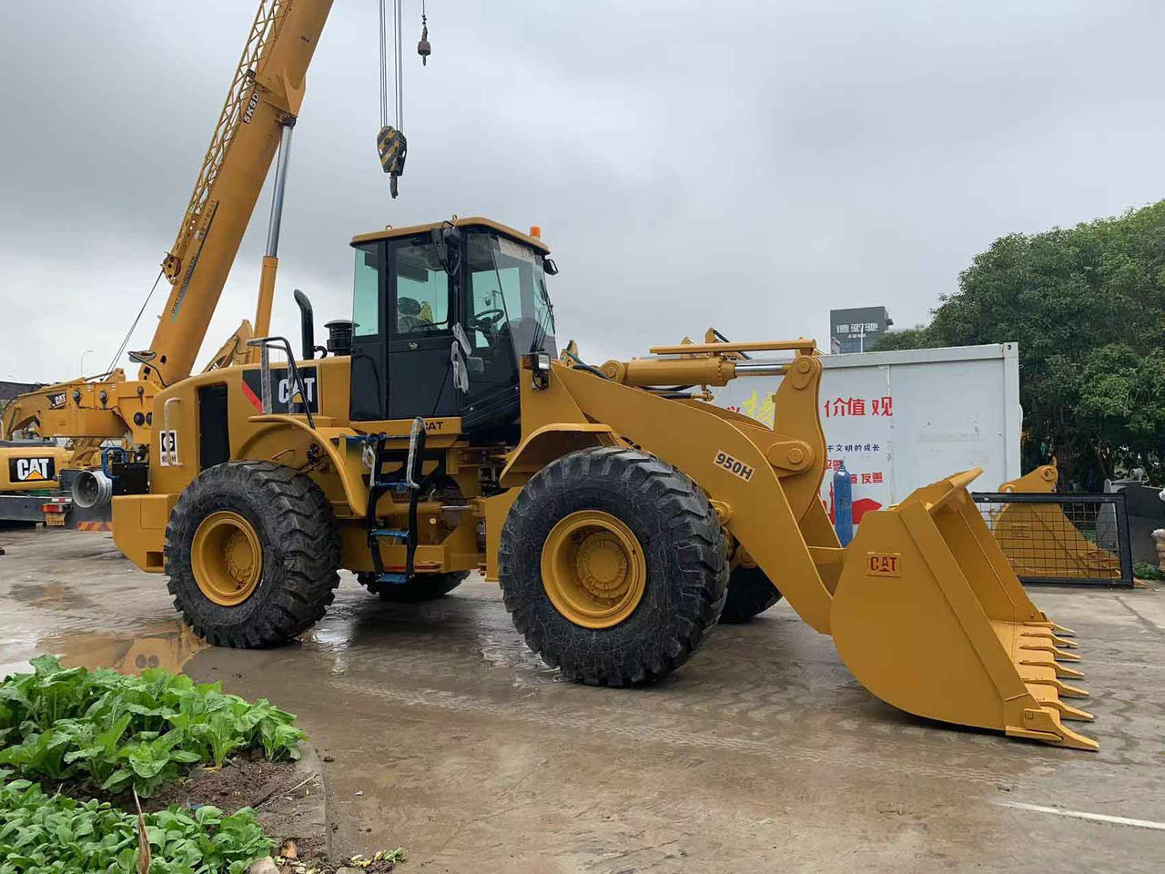 Caterpillar Wheel Loader CAT 950H, 950G Secondhand Condition - Колёсный погрузчик: фото 2 Caterpillar Wheel Loader CAT 950H, 950G Secondhand Condition - Колёсный погрузчик: фото 2