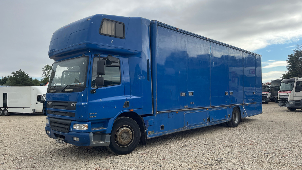 DAF CF 65.250 - Грузовик с закрытым кузовом: фото 2 DAF CF 65.250 - Грузовик с закрытым кузовом: фото 2