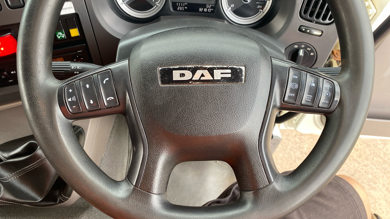 Эвакуатор DAF LF 230: фото 20