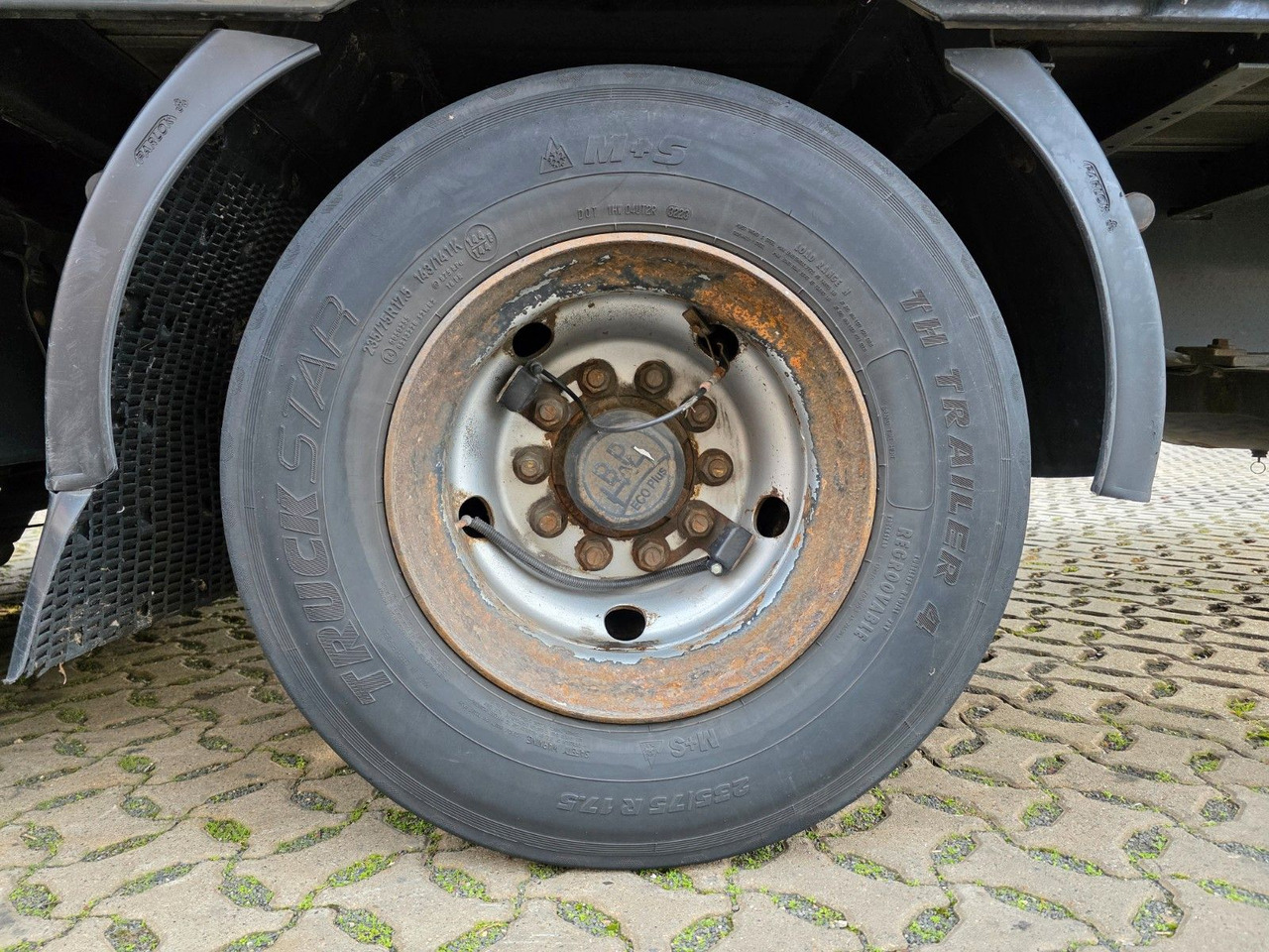 Для перевозки напитков Schwarzmüller SJ / Liftachse / Schwanenhals: фото 39