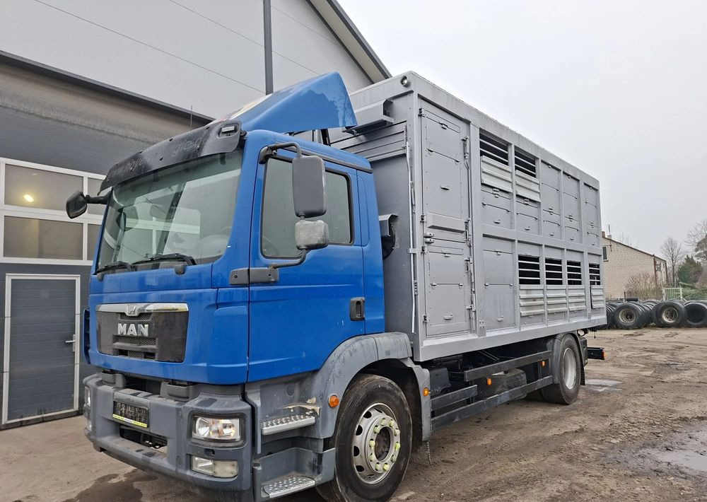 MAN TGM 18.250 4x2 DO ŻYWCA - Грузовик для перевозки животных: фото 4 MAN TGM 18.250 4x2 DO ŻYWCA - Грузовик для перевозки животных: фото 4