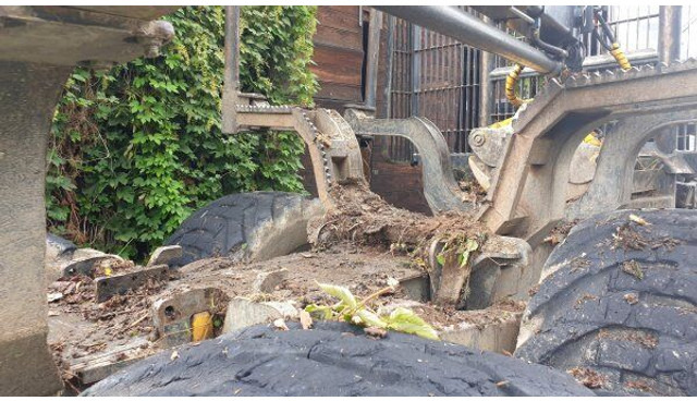 Форвардер Ponsse Elephant 8W (+ K100+): фото 17 Форвардер Ponsse Elephant 8W (+ K100+): фото 17