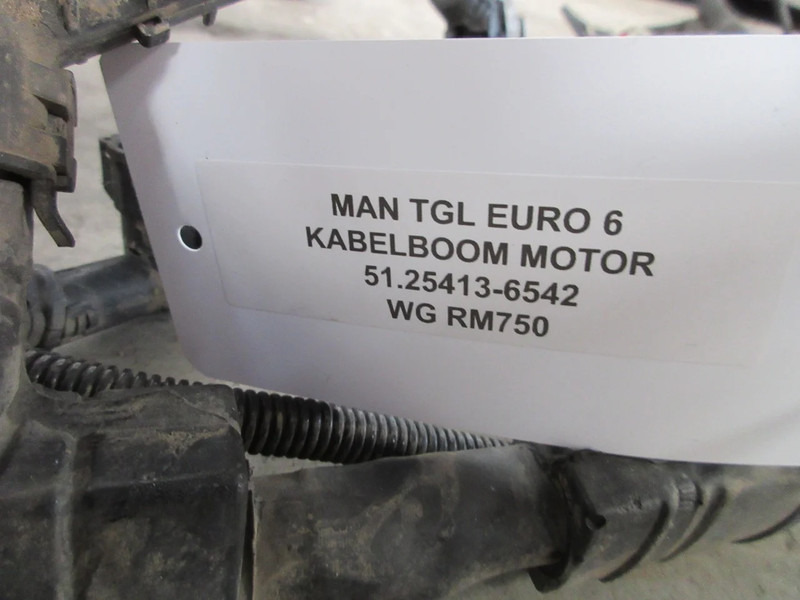 MAN 51.25413-6542 KABELBOOM MAN TGL TGM EURO 6 - Электрическая система для Грузовиков: фото 3 MAN 51.25413-6542 KABELBOOM MAN TGL TGM EURO 6 - Электрическая система для Грузовиков: фото 3