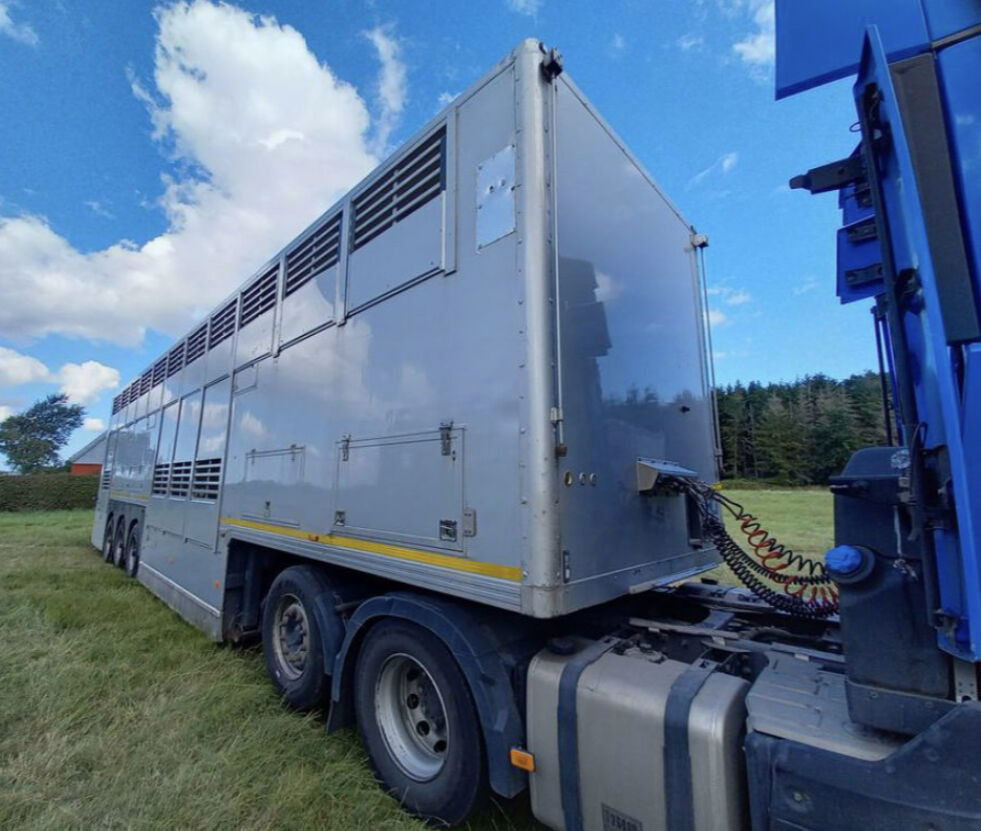 Gray and Adams Gadd3 / Works Great / Hydraulic / 2 Levels - Полуприцеп для перевозки животных: фото 4 Gray and Adams Gadd3 / Works Great / Hydraulic / 2 Levels - Полуприцеп для перевозки животных: фото 4