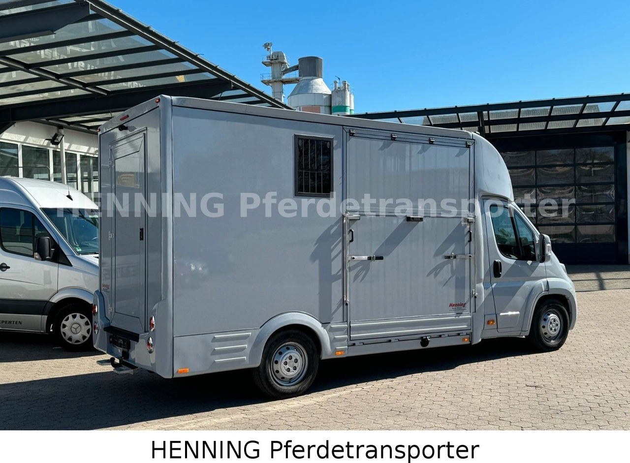 Citroën Jumper 3 - Sitzer *AUFBAU NEU* - Коневоз: фото 3 Citroën Jumper 3 - Sitzer *AUFBAU NEU* - Коневоз: фото 3
