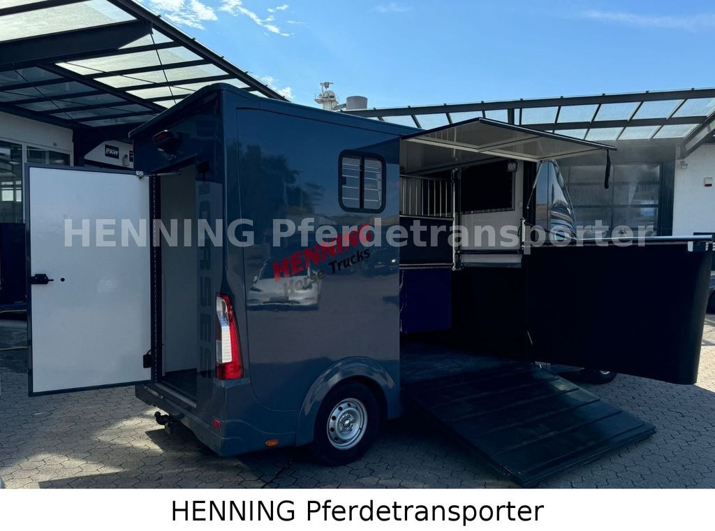 Opel Movano 3 - Sitzer *AUFBAU NEU* Opel Movano 3 - Sitzer *AUFBAU NEU* - Коневоз: фото 3 Opel Movano 3 - Sitzer *AUFBAU NEU* Opel Movano 3 - Sitzer *AUFBAU NEU* - Коневоз: фото 3