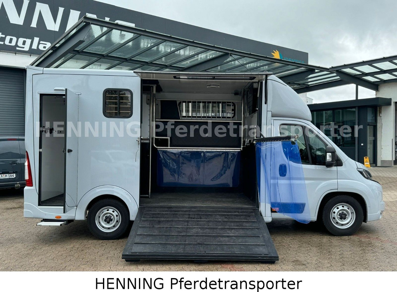 Peugeot Boxer 3 - Sitzer *GROSSE SATTELKAMMER* - Грузовик для перевозки животных: фото 5 Peugeot Boxer 3 - Sitzer *GROSSE SATTELKAMMER* - Грузовик для перевозки животных: фото 5