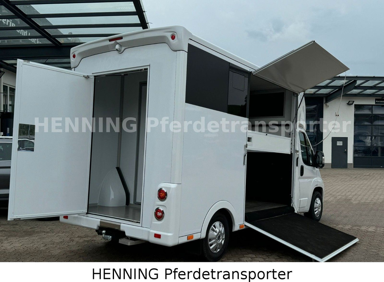 Peugeot Boxer *NEUWAGEN* ca. 1.200kg Nutzlast - Грузовик для перевозки животных: фото 4 Peugeot Boxer *NEUWAGEN* ca. 1.200kg Nutzlast - Грузовик для перевозки животных: фото 4