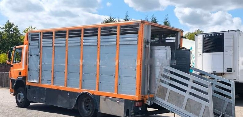 DAF CF 400 Menke Einstock | Transport zwierząt jednopoziomowy | 2 kratownice do bydła| Retarder | Euro 6 - Грузовик для перевозки животных: фото 4 DAF CF 400 Menke Einstock | Transport zwierząt jednopoziomowy | 2 kratownice do bydła| Retarder | Euro 6 - Грузовик для перевозки животных: фото 4