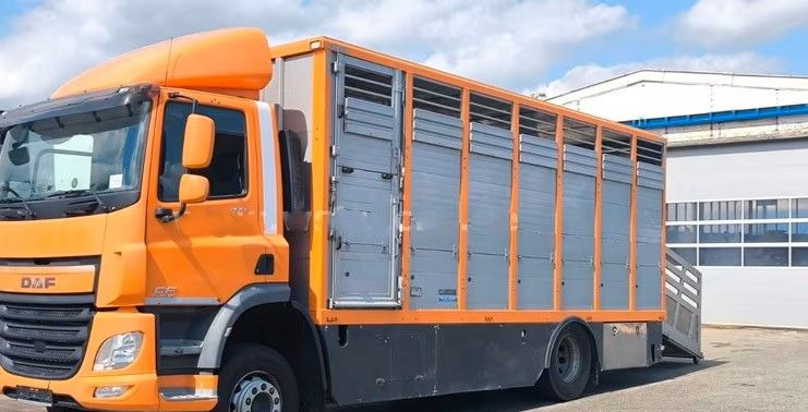 DAF CF 400 Menke Einstock | Transport zwierząt jednopoziomowy | 2 kratownice do bydła| Retarder | Euro 6 - Грузовик для перевозки животных: фото 2 DAF CF 400 Menke Einstock | Transport zwierząt jednopoziomowy | 2 kratownice do bydła| Retarder | Euro 6 - Грузовик для перевозки животных: фото 2