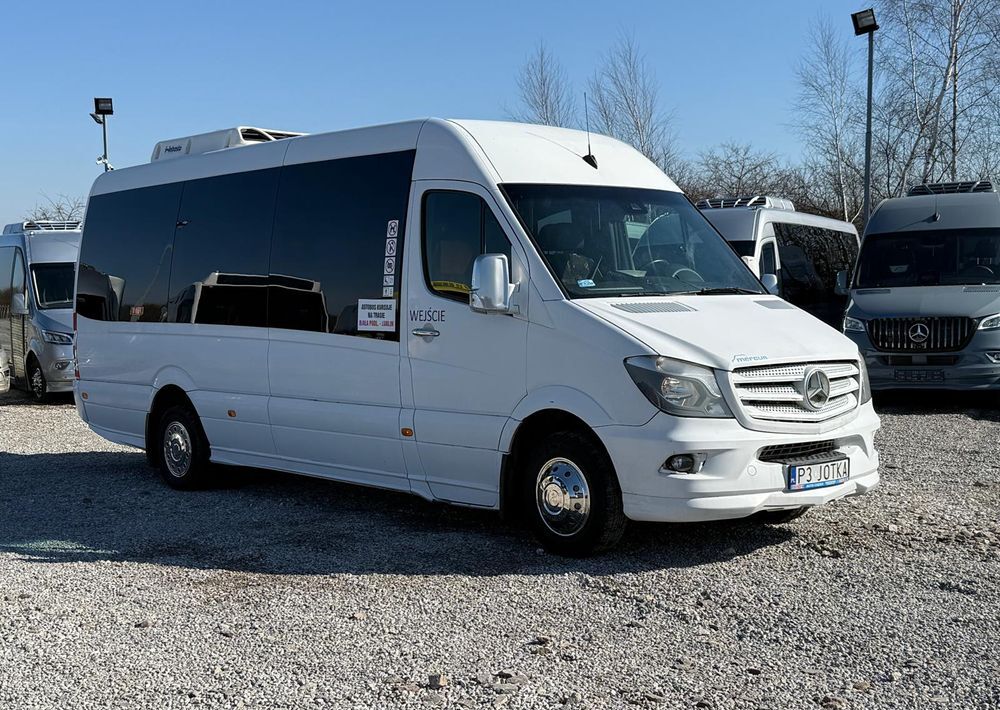 Mercedes-Benz Sprinter 516 - Микроавтобус, Пассажирский фургон: фото 3 Mercedes-Benz Sprinter 516 - Микроавтобус, Пассажирский фургон: фото 3