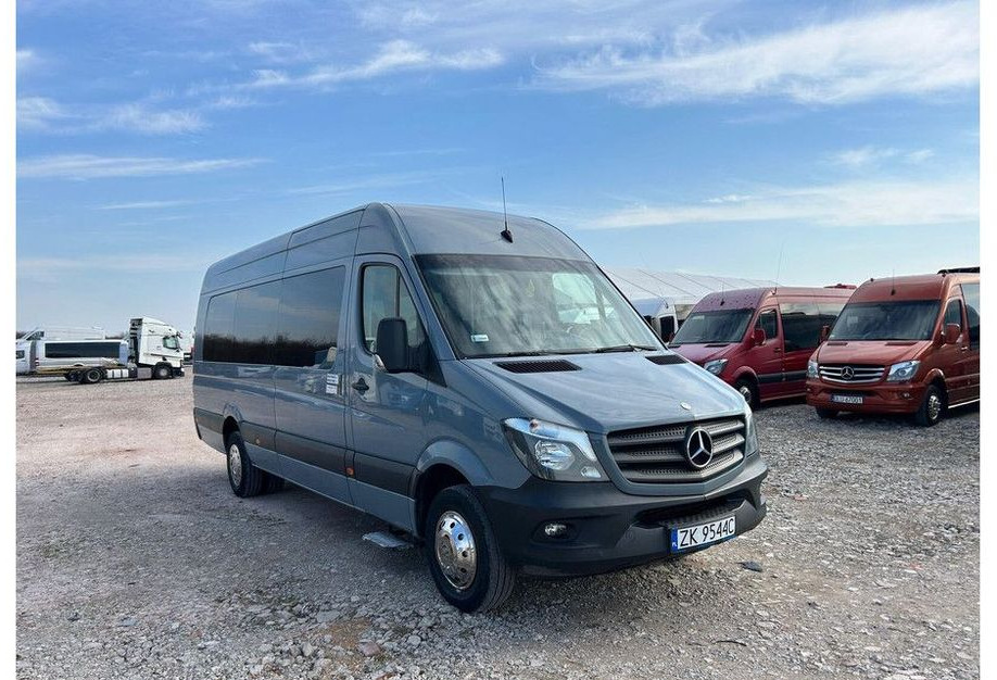 Mercedes-Benz Sprinter 516 - Микроавтобус, Пассажирский фургон: фото 2 Mercedes-Benz Sprinter 516 - Микроавтобус, Пассажирский фургон: фото 2