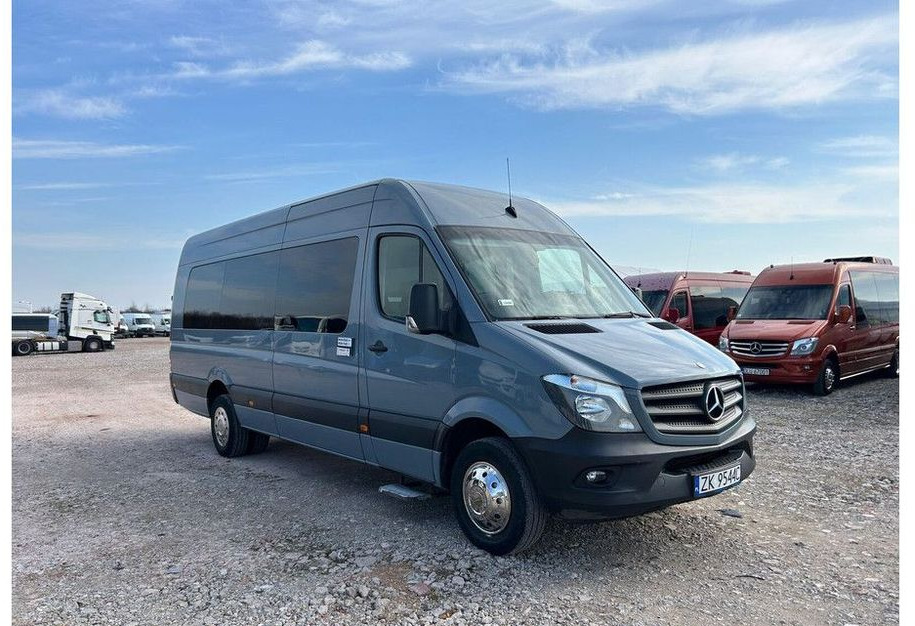 Mercedes-Benz Sprinter 516 - Микроавтобус, Пассажирский фургон: фото 1 Mercedes-Benz Sprinter 516 - Микроавтобус, Пассажирский фургон: фото 1