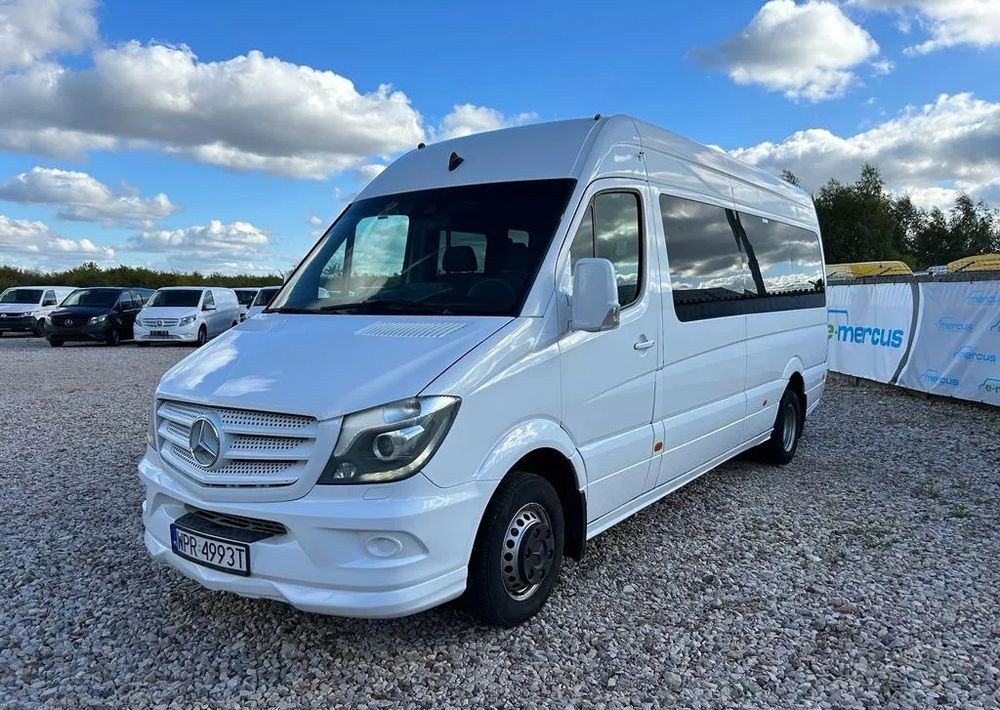 Mercedes-Benz Sprinter 519 - Микроавтобус, Пассажирский фургон: фото 5 Mercedes-Benz Sprinter 519 - Микроавтобус, Пассажирский фургон: фото 5