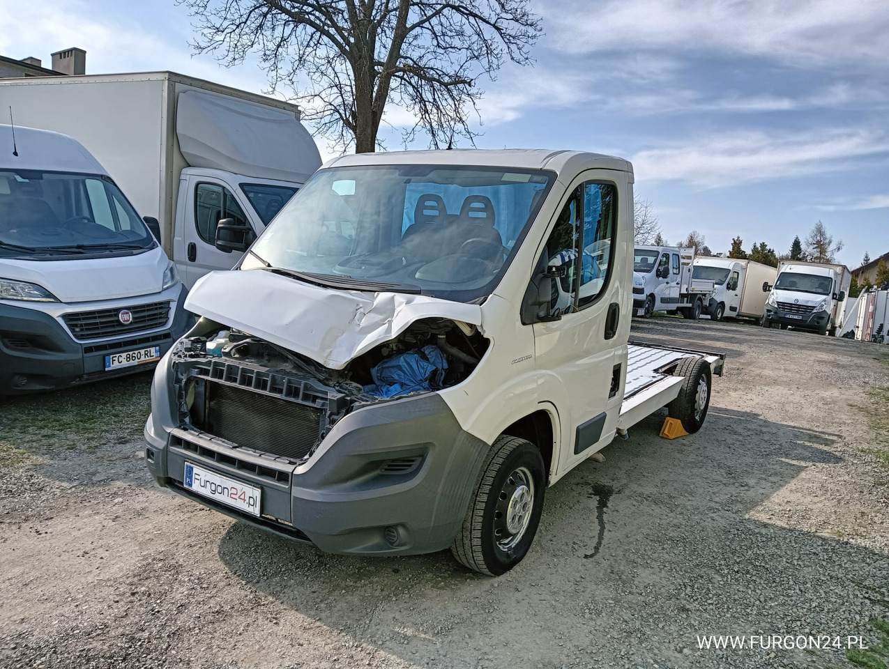 FIAT DUCATO PLATFORMA DO ZABUDOWY NR 844 - Лёгкий коммерческий автомобиль: фото 1 FIAT DUCATO PLATFORMA DO ZABUDOWY NR 844 - Лёгкий коммерческий автомобиль: фото 1