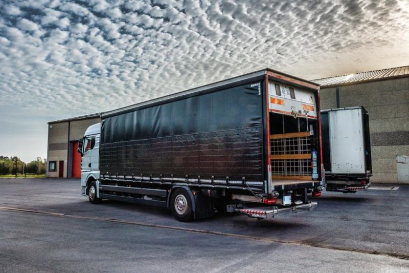 MAN TGX 18.400 XLX+HAYON - Тентованный грузовик: фото 4 MAN TGX 18.400 XLX+HAYON - Тентованный грузовик: фото 4