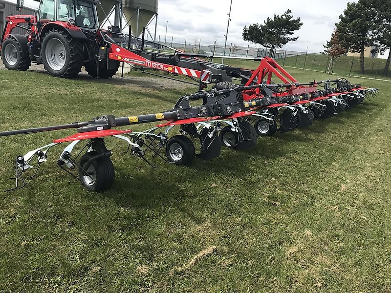 Massey Ferguson MF TD 1310 X TRC / Lotus 1250 Profi - Сеноворошилка: фото 1 Massey Ferguson MF TD 1310 X TRC / Lotus 1250 Profi - Сеноворошилка: фото 1