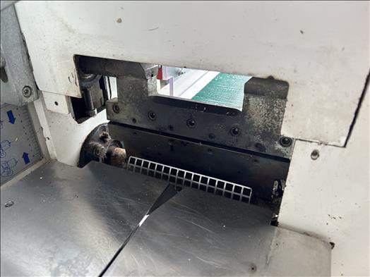 Упаковочное оборудование Record Panda1000 Flow wrapper: фото 6 Упаковочное оборудование Record Panda1000 Flow wrapper: фото 6