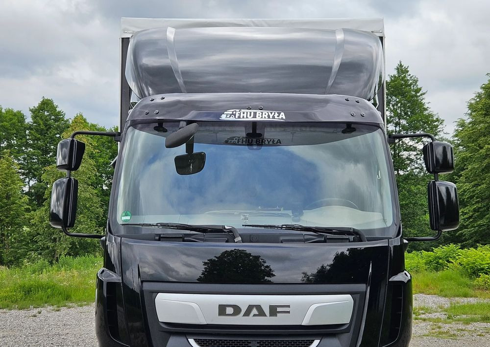 DAF LF 290/WINDA/16TON DMC/FIRANKA/AUTOMAT/16TON DMC/JEDEN WŁAŚCICIE/EURO 6/2019/SPROWADZONY/20PALET/NISKI PRZEBIEG/DUŻA ŁADOWNOŚĆ/JAK NOWY - Тентованный грузовик: фото 5 DAF LF 290/WINDA/16TON DMC/FIRANKA/AUTOMAT/16TON DMC/JEDEN WŁAŚCICIE/EURO 6/2019/SPROWADZONY/20PALET/NISKI PRZEBIEG/DUŻA ŁADOWNOŚĆ/JAK NOWY - Тентованный грузовик: фото 5